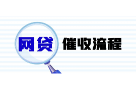 和林格尔为什么选择专业追讨公司来处理您的债务纠纷？